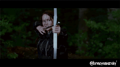 games of hunger photo: The Hunger Games HungerGamesBY.gif