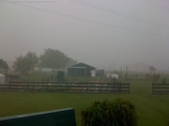 Batten down the hatches - again! - Homesteading Questions