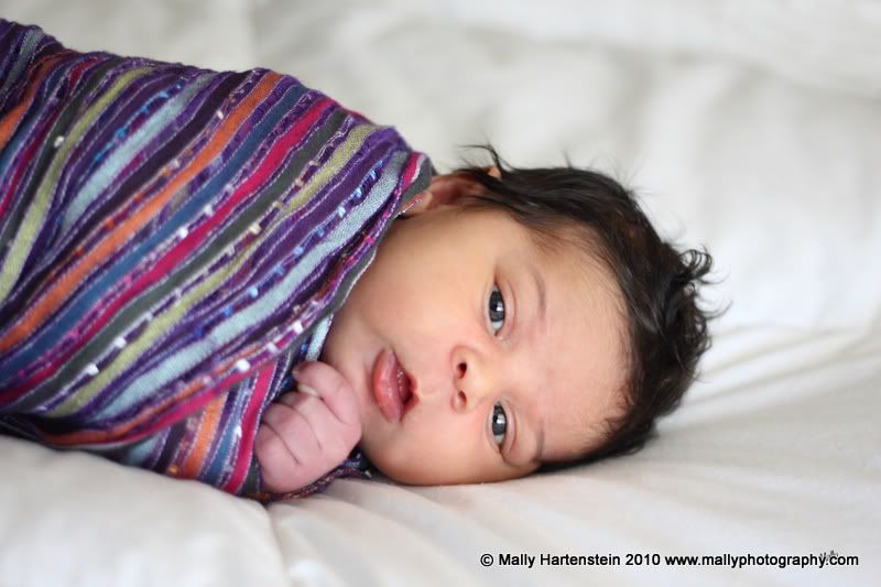 Baby Photographer,Newborn portraits,Pensacola Beach,Gulf Breeze,Gulf Coast,Navarre beach,Destin Florida