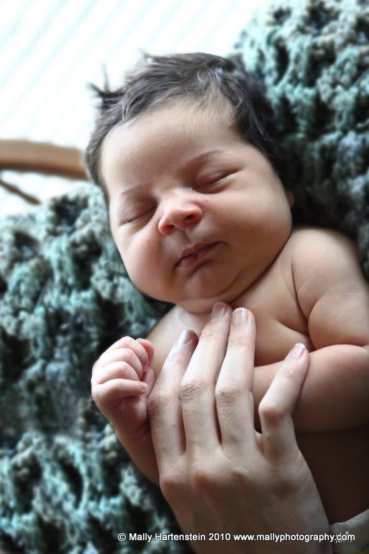 Baby Photographer,Newborn portraits,Pensacola Beach,Gulf Breeze,Gulf Coast,Navarre beach,Destin Florida