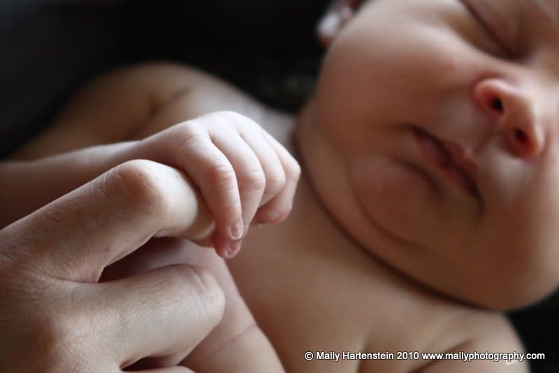 Baby Photographer,Newborn portraits,Pensacola Beach,Gulf Breeze,Gulf Coast,Navarre beach,Destin Florida