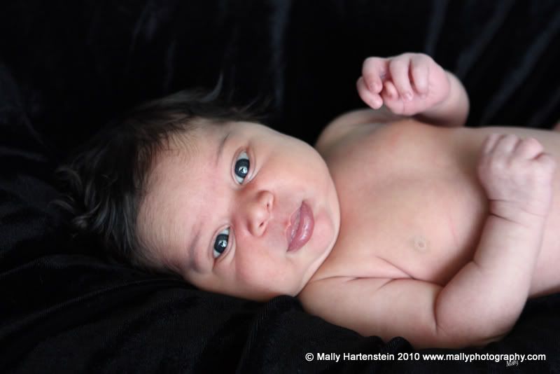 Baby Photographer,Newborn portraits,Pensacola Beach,Gulf Breeze,Gulf Coast,Navarre beach,Destin Florida