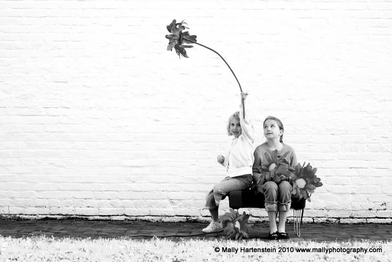 Child Photography,Downown Pensacola,Florida Photographer,Pensacola Beach