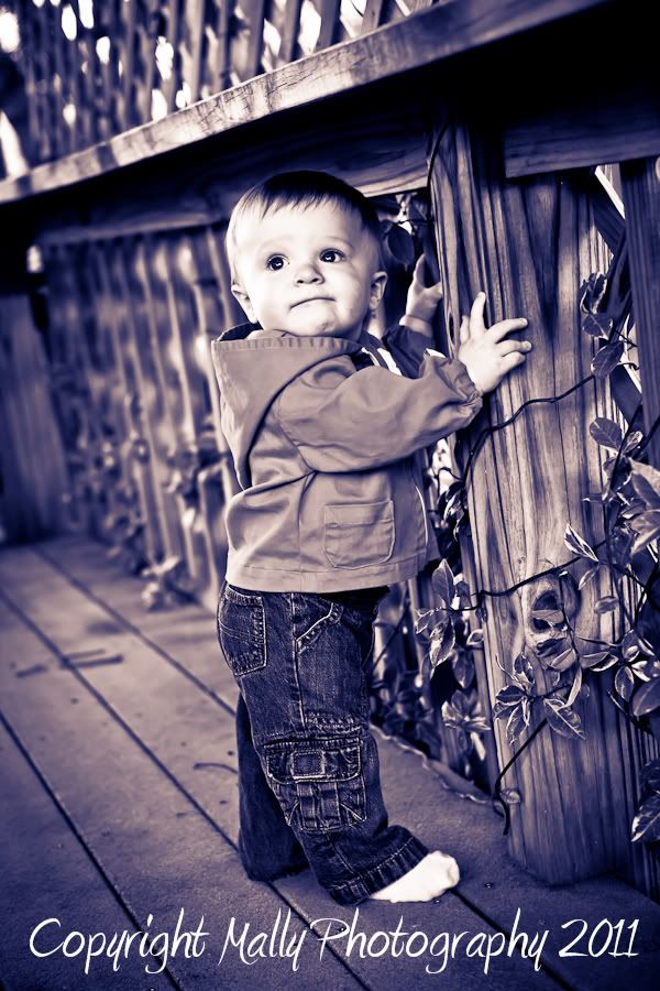 Mally Photography,Mally Hartenstein,Pensacola,Gulf Breeze,Florida child Photographer,Gulf Coast photographer