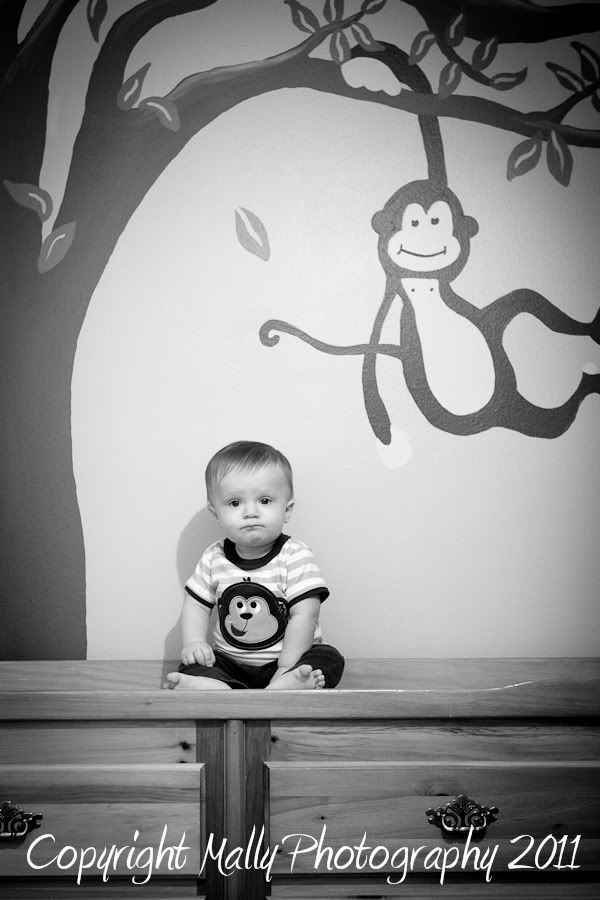 Mally Photography,Mally Hartenstein,Pensacola,Gulf Breeze,Florida child Photographer,Gulf Coast photographer
