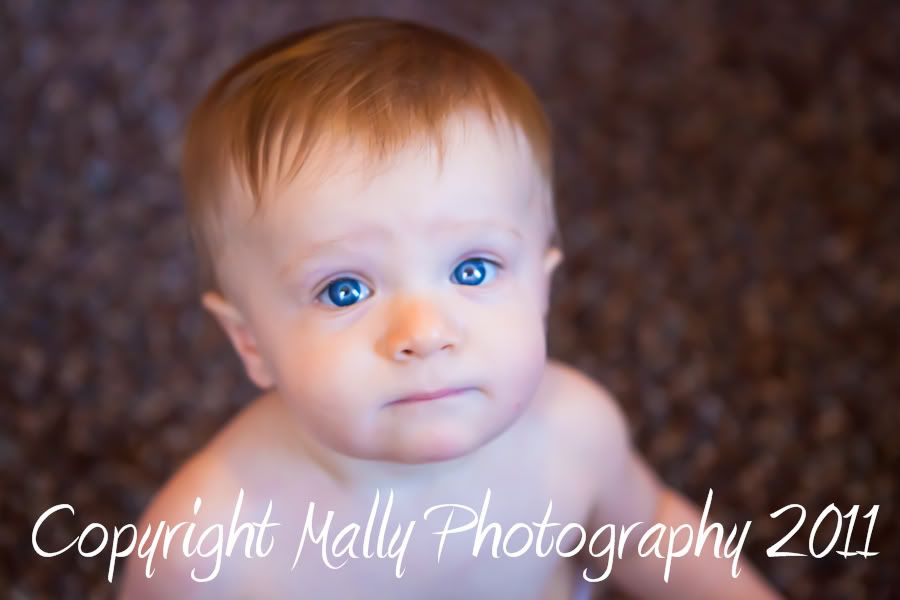 Mally Photography,Mally Hartenstein,Pensacola,Gulf Breeze,Florida child Photographer,Gulf Coast photographer