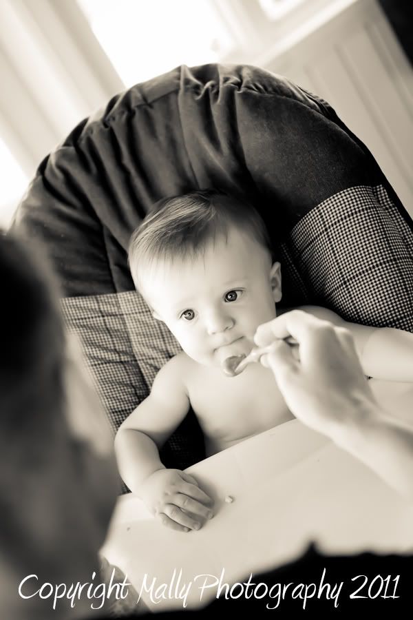 Mally Photography,Mally Hartenstein,Pensacola,Gulf Breeze,Florida child Photographer,Gulf Coast photographer