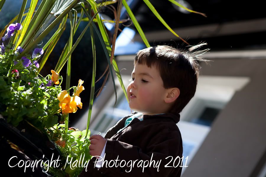 Mally Hartenstein Photography,Biloxi,children,child,portrait,natural,on location,pensacola,gulf coast,New Orleasn