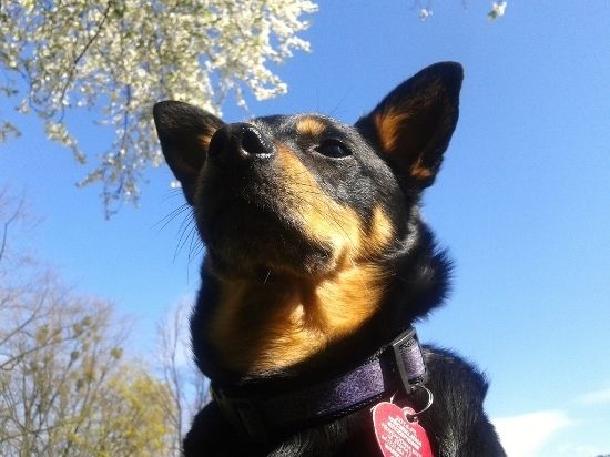 cf3acb92-a2ae-4282-ac64-00bf518f9879_zps