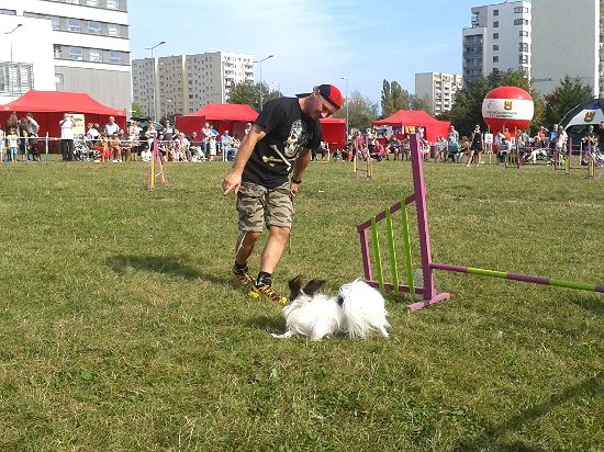 26bc19ce-884c-4a46-a6e5-b11dc2bb42e9_zps