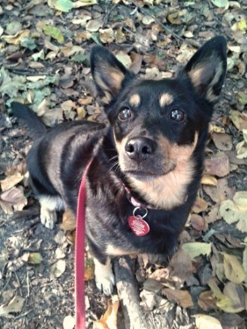 96d68833-481a-4a4e-bd0e-b9f893e2e4b5_zps