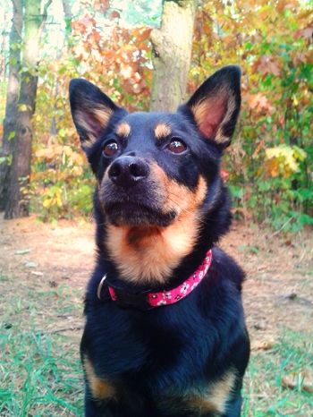 e073b2f5-3c7b-4e7a-8dfb-866b1b625b43_zps