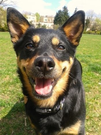 8d172e6d-91e1-4d82-a799-2bcc7ab67a61_zps