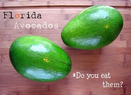 Florida Avocados