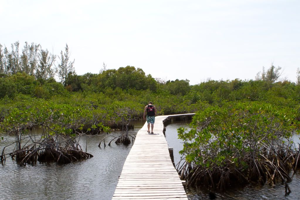 IMAGE: http://i878.photobucket.com/albums/ab342/jeffreynmandy/IMG_6638.jpg