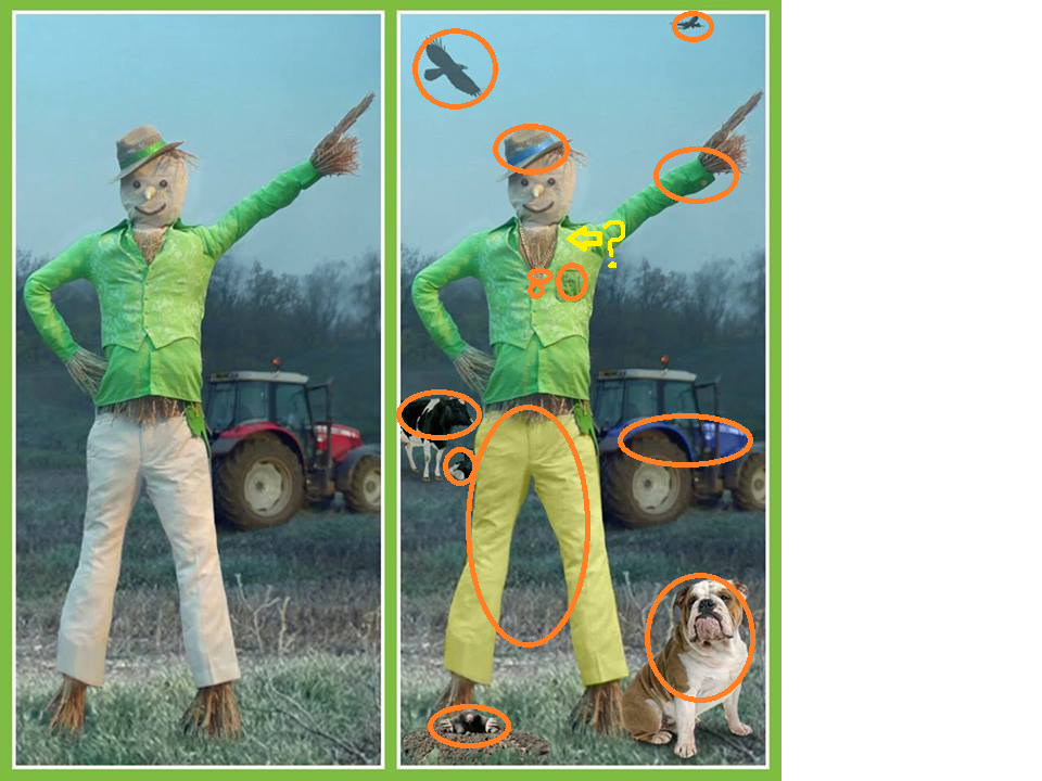 pic_zps1d7543ad.png