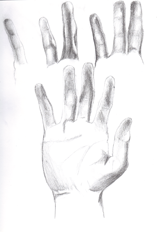 Hand01.png?t=1295712889