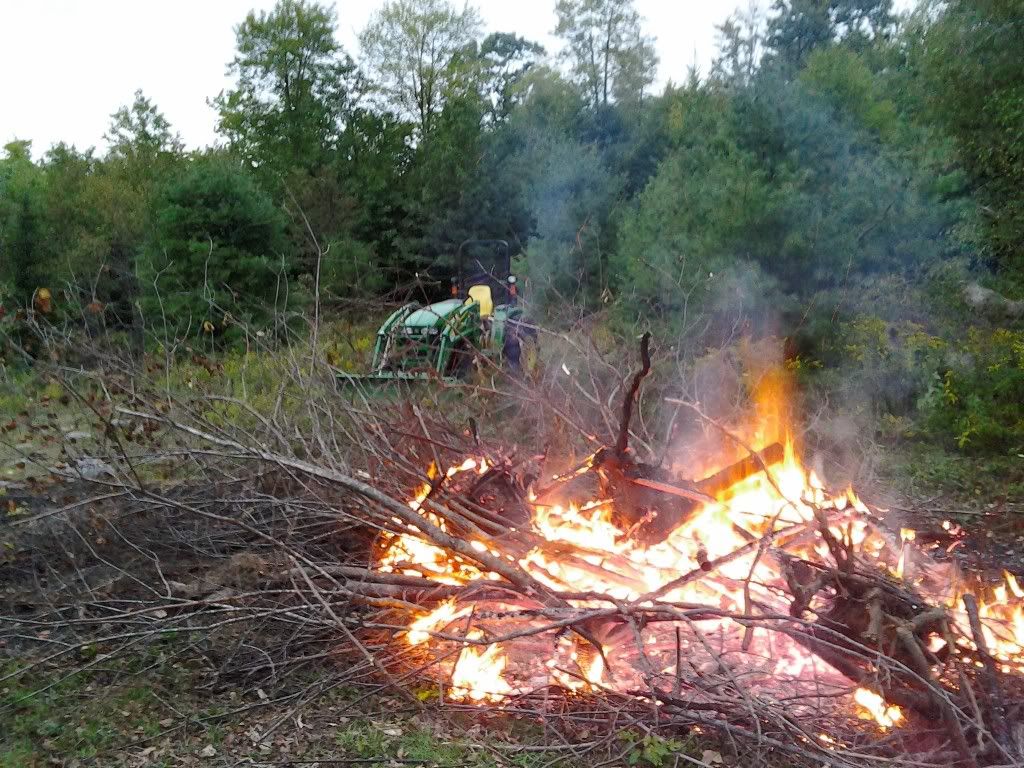 Burn baby burn