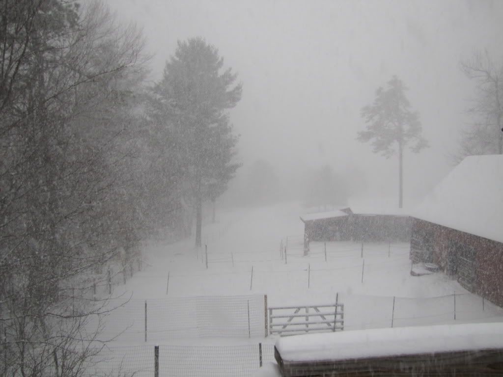 Snowstorm 1 March