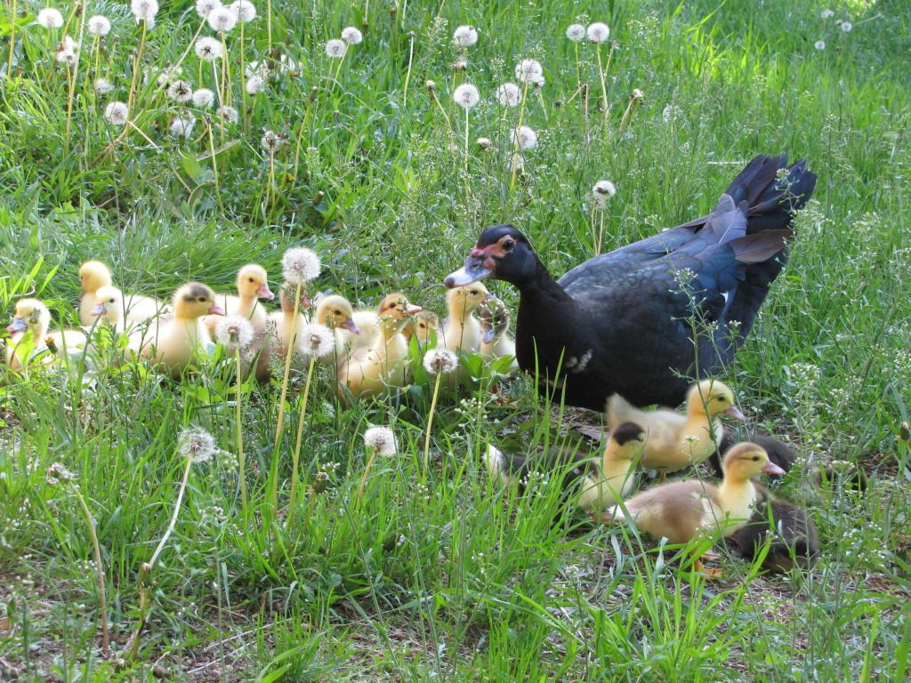 First Field Trip