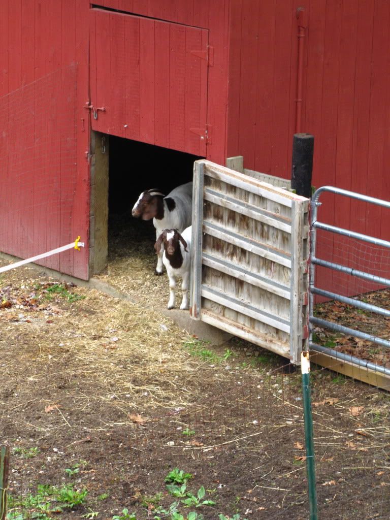 Occupy Barn