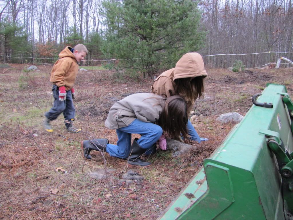 Kids moving rocks