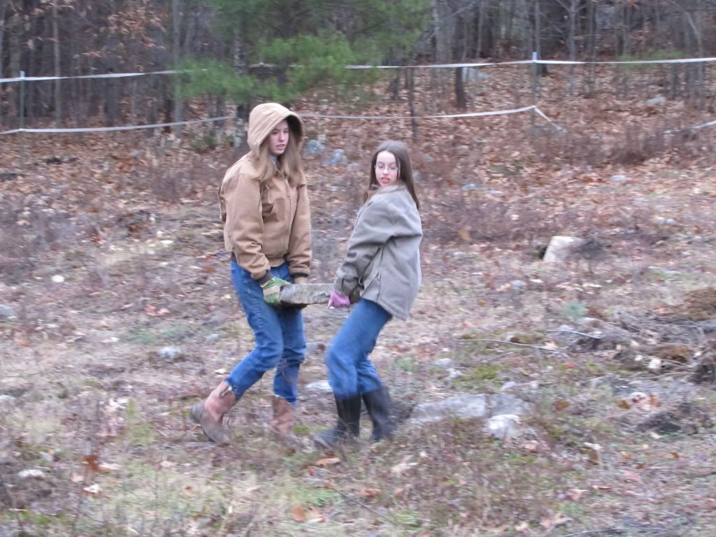 Teamwork with rocks