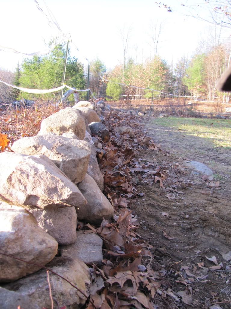 Rock Wall