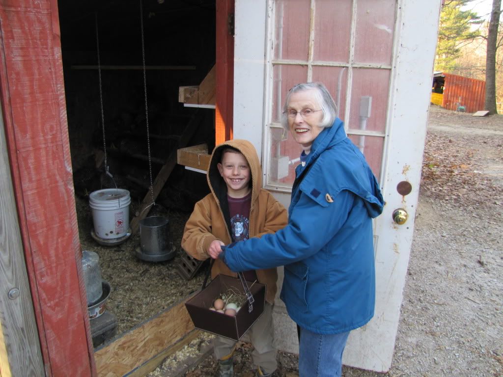 D&Gran Eggs