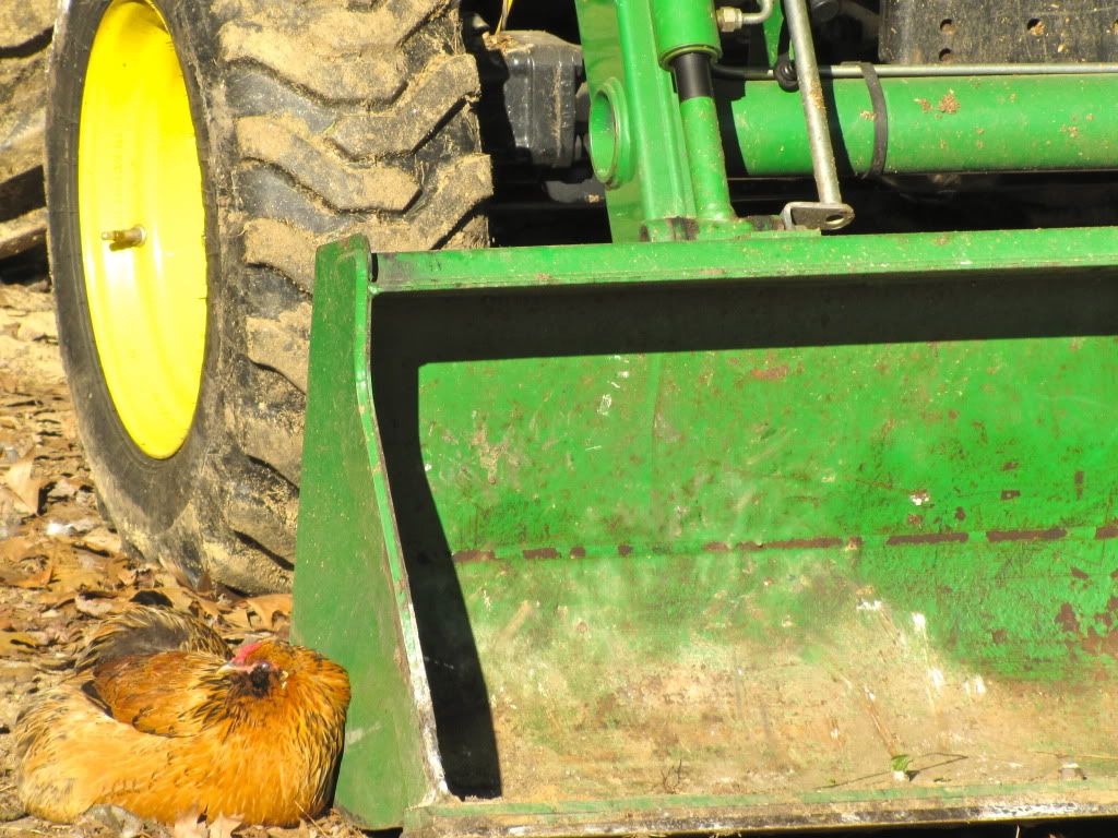Occupy Tractor