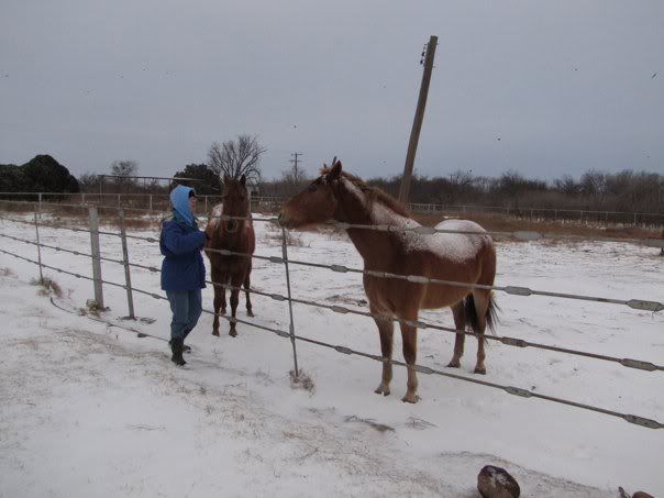 Zip n Jasper in the Snow