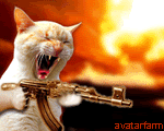 kitty gun photo: gun kitty ak47cat2hv1.gif