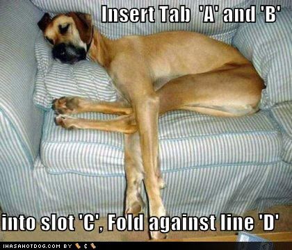 funny-dog-pictures-fold-dog-couch-d.jpg