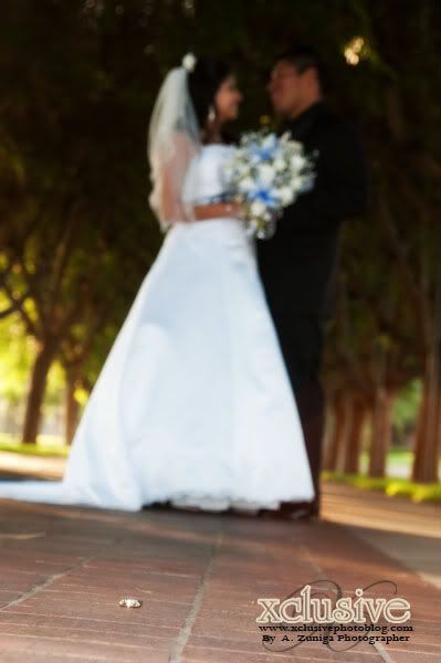 wedding,photography,photographer,homestead museum,park,lake,kiosko,fun,romantic,boda,bonita pareja,bride,groom