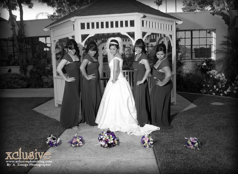 Wedding Professional photographer in Los Angeles