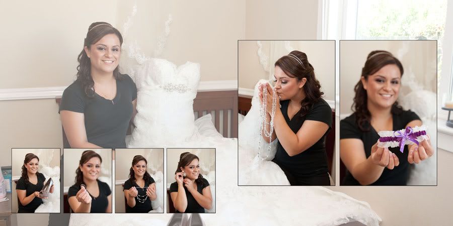 Wedding Professional Photographer in San Jose, Fremont, Hayward, San Francisco