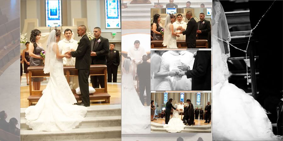 Wedding Professional Photographer in San Jose, Fremont, Hayward, San Francisco
