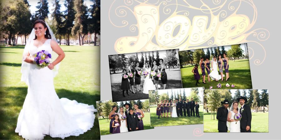 Wedding Professional Photographer in San Jose, Fremont, Hayward, San Francisco