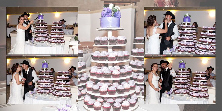 Wedding Professional Photographer in San Jose, Fremont, Hayward, San Francisco