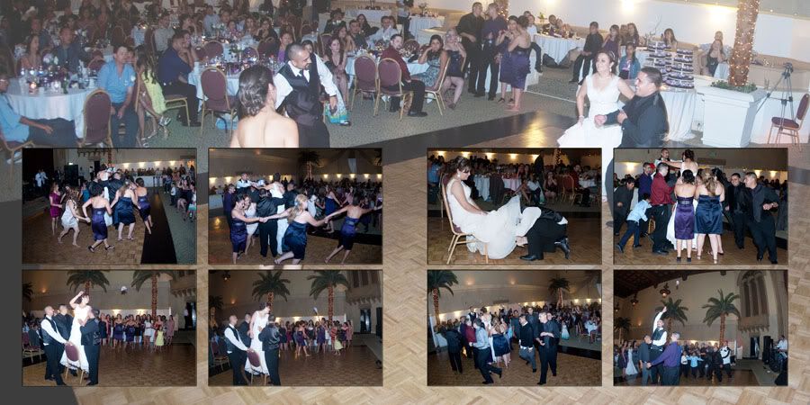 Wedding Professional Photographer in San Jose, Fremont, Hayward, San Francisco