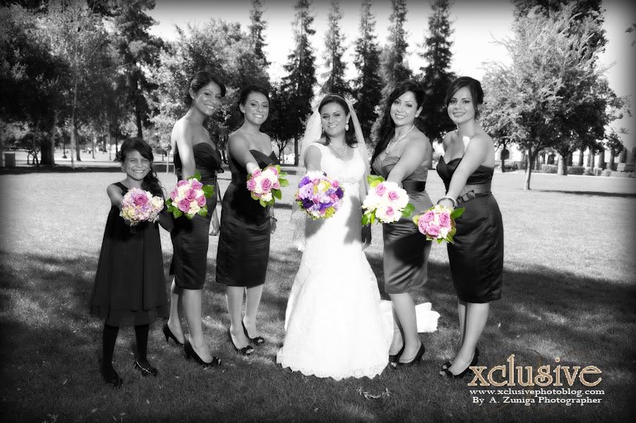 Wedding Professional Photographer in San Jose