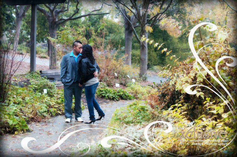 Engagement photo session in Walnut Creek CA