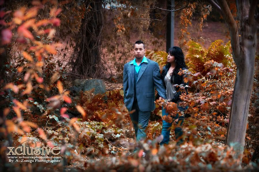 Engagement photo session in Walnut Creek CA
