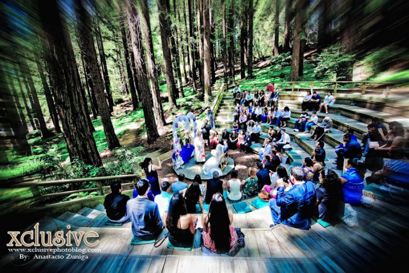 Wedding Professional Photographer in Richmond,Bakerley, oakland