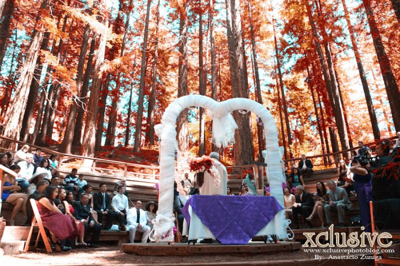 Wedding Professional Photographer in Richmond,Bakerley, oakland