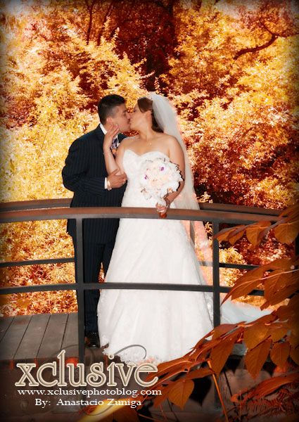 Wedding Professional Photographer in Richmond,Bakerley, oakland