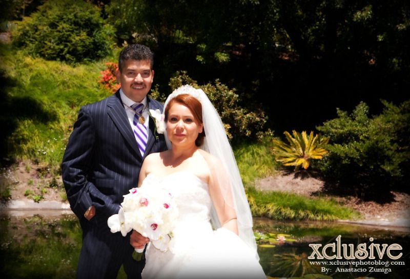Wedding Professional Photographer in Richmond,Bakerley, oakland