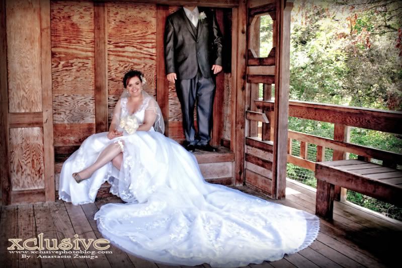 Wedding  professional photographer in Hayward, Fremont, San Jose
