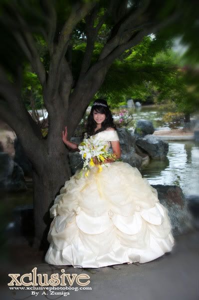 Photography at the Church,Japanese Friendship Garden in san  jose,Quinceanera  in a Limusine,Photography in the Parks.