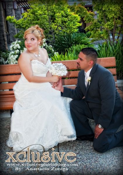 Wedding  professional photographer in Hayward, Fremont, San Jose, Livermore, Wedding photography at the Palmdale estates